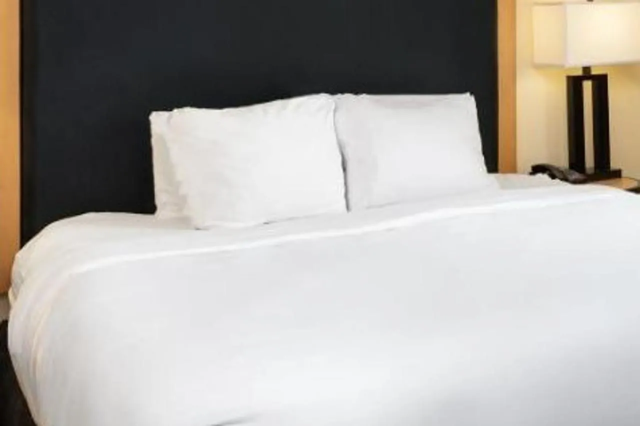 Doubletree By Hilton Hotel Savannah Airport